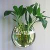Wall Mounted Clear Acrylic Fish Bowl Transparent Wall Hanging Fish Tank Wall Mounted Aquarium Wall Plant Pot Planter