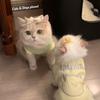 Warm Fleece Pet Vest Cats - Thick Cotton Winter Coat British Shorthair Ragdoll Golden Tabby Kittens