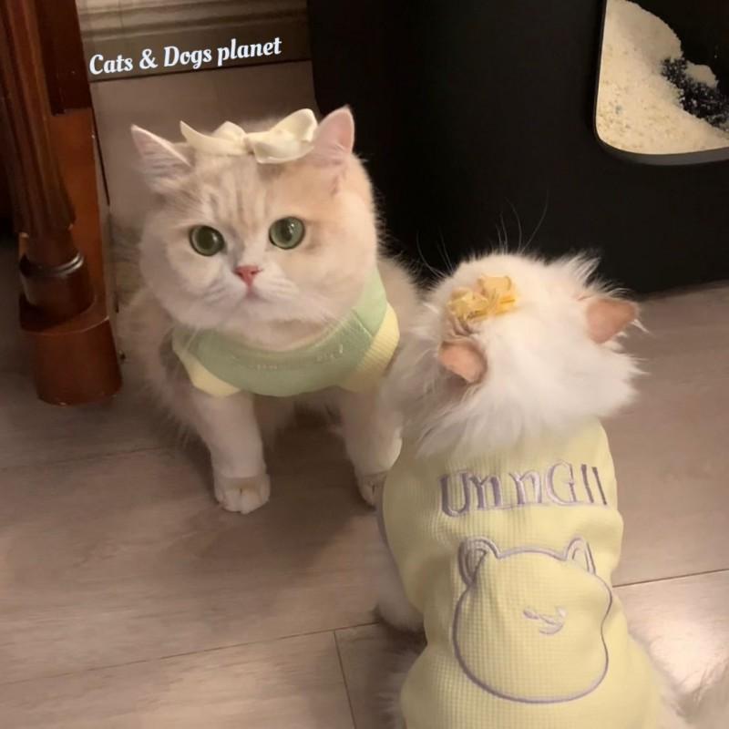Warm Fleece Pet Vest Cats - Thick Cotton Winter Coat British Shorthair Ragdoll Golden Tabby Kittens