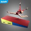 Multifunctional Gymnastics Sensory Training Slope Mat