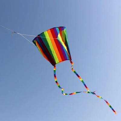 Easy Fly Rainbow Parafoil Kite with Kite Line Long Tail Flying Kite Good Flying Polyester Ripstop Mini Children's Kite Outdoor