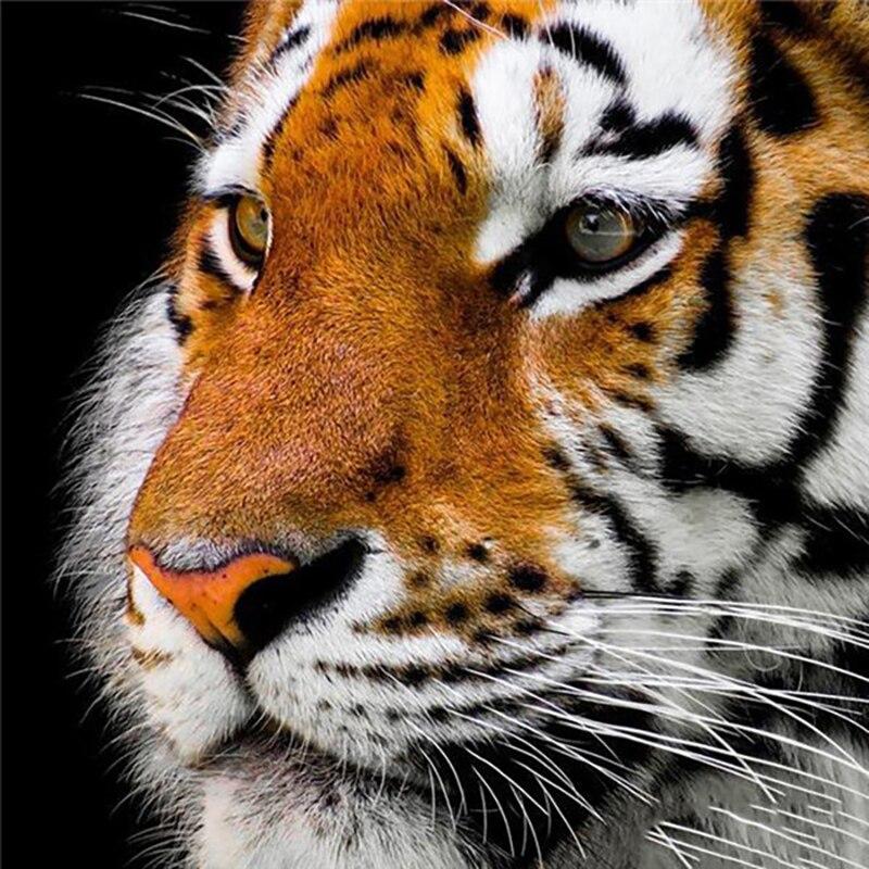 New 5D DIY Diamond Painting Tiger Diamond Embroidery Animal Cross Stitch Full Round Drill Crafts Home Decor Manual Gift