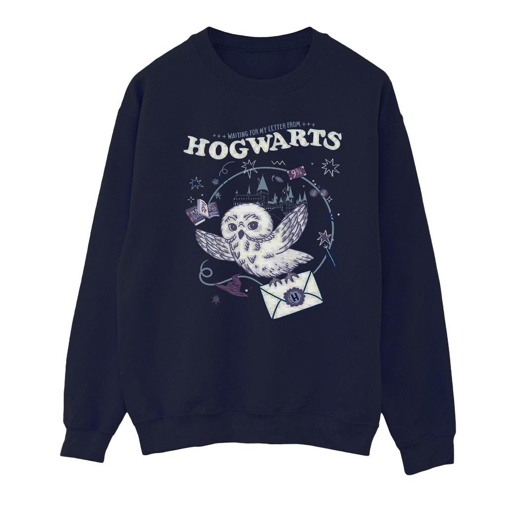 Harry Potter Mens Owl Letter From Hogwarts Sweatshirt
