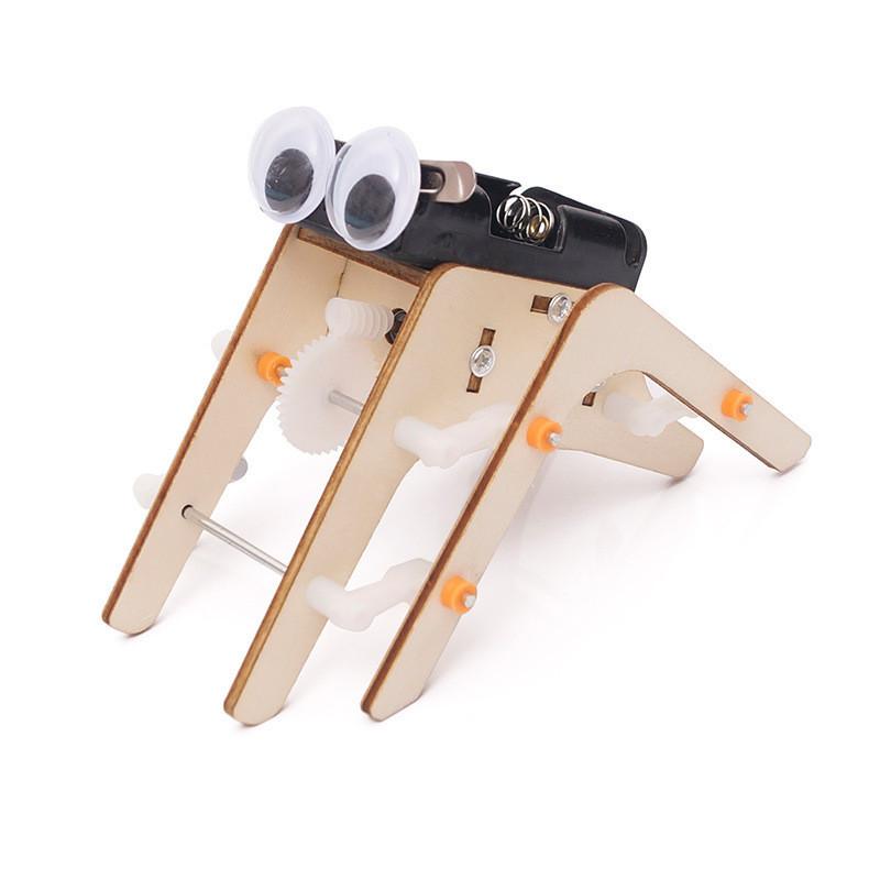 

Wooden Diy Spider Bionic Robot Science Experiment Stem Educational Toy For Kids