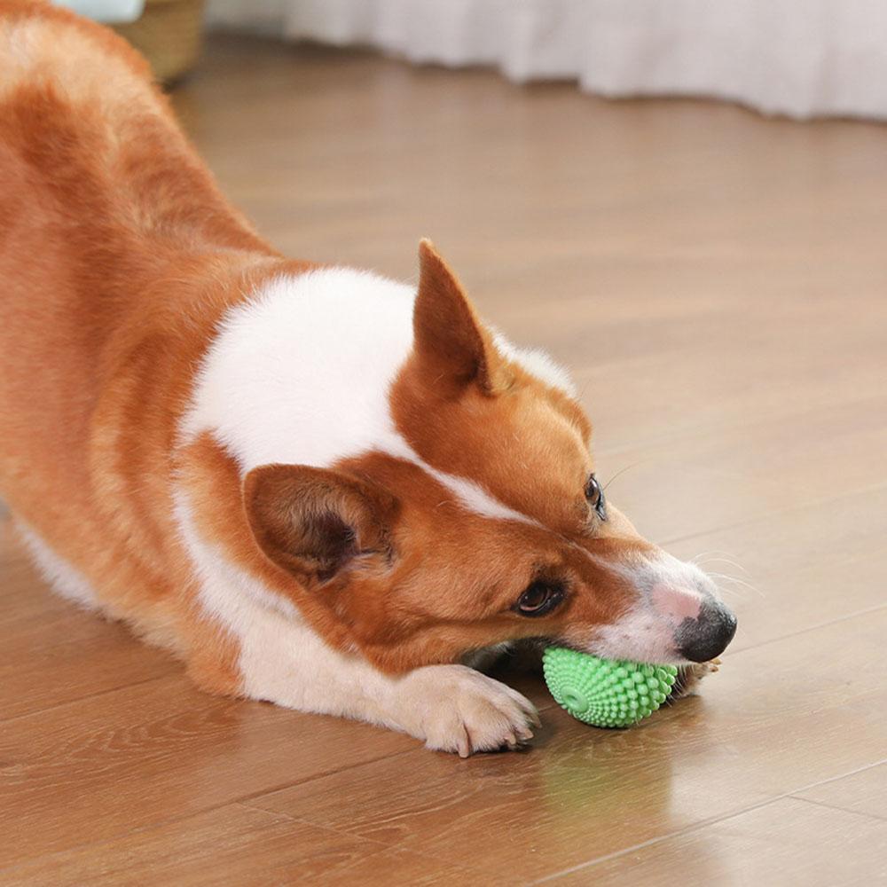 Pet Chew Toy Squeaky Corn Ball, Durable Dog Chewing Ball for Teeth Grinding & Cleaning, Puppy Boredom Relief Pet Supplies