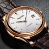 Ruiqin Men's Waterproof Automatic Mechanical Business Casual Watch