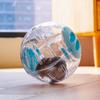 Small Pet Toy Hamster Toys Running Ball Hamster Large Ball Exercising Wheels Animal Accessories