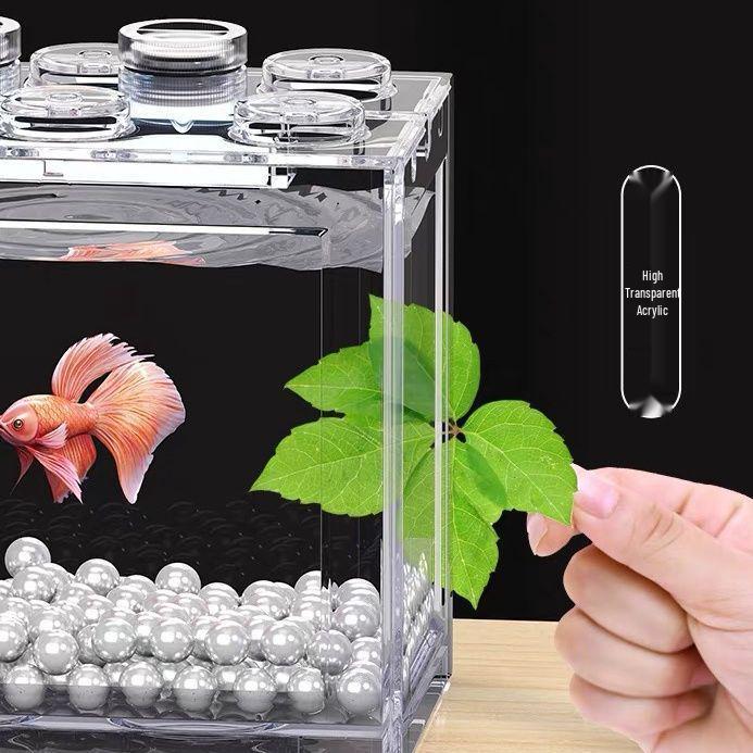 Creative Douyu Small Desktop Fish Tank with Light and Acrylic Aquascaping