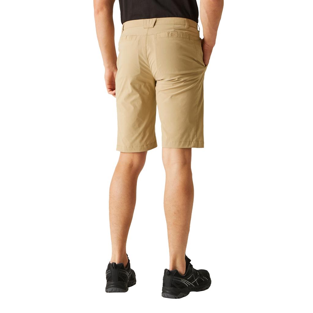 Regatta Mens Highton Walking Shorts