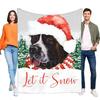 Cozy Let It Snow Dog Blanket Soft Flannel Throw for Home Decor, Perfect for Winter Days, Great Holiday Gift for Pet Lovers, Ligh