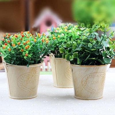 Garden Decor Creative Supplies Mini Metal Hanging Flower Pots Home Garden Green Plant Planter Nursery Tin Pots Accessories