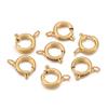 5pcs Stainless Steel Spring Clasp Round Keychain Clips Hook Buckles Connector for Bracelet Necklace DIY Jewelry Making Supplies