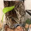 100Cm Handwoven Soft Pvc Rattan Rainforest Landscaping Vines Climbing Pets Favorite Climbing Rattan Home Decor Artificial Plant