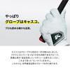 Kasco Golf Genuine DNA SHEEP Left 22cm Glove, Leather, GF-2012, Hand, White,
