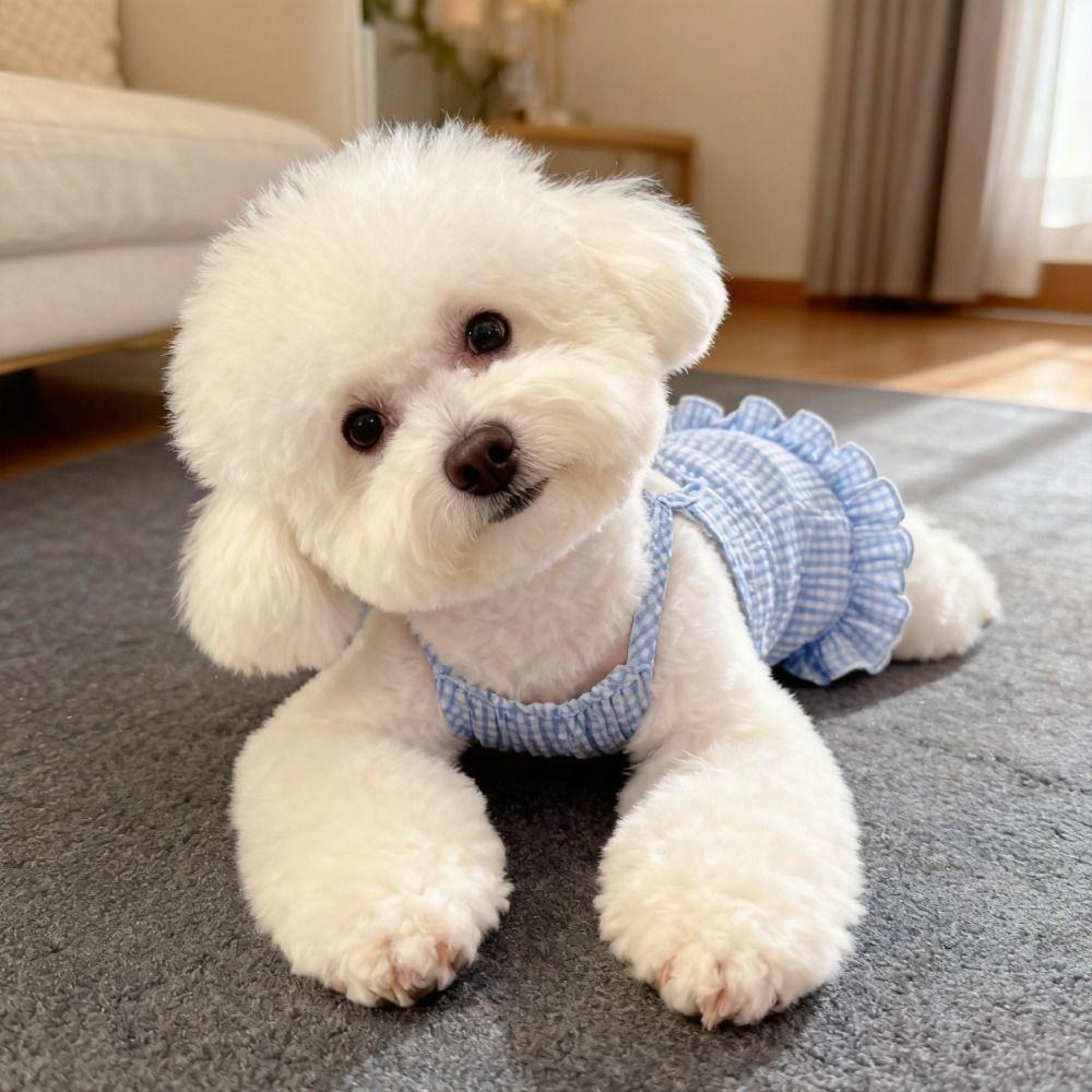 Rüschenrand Haustier Hundekleid Leicht Atmungsaktiv Haustierkleid Hundegeschirr Weste Frühling Sommer