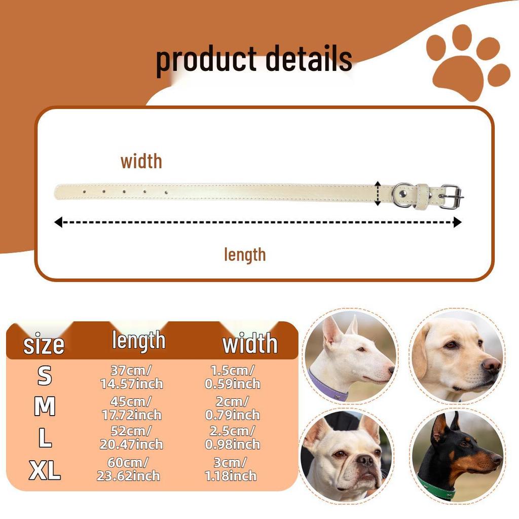 Pearlescent Dog Collar for Small & Medium Breeds: French Bulldog, Teddy