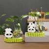 1PC Panda Gift Hydroponic Living Room Ornament Adorn Tea Table Ornament Vibrant Vase Desktop Home
