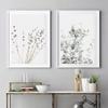 Nordic Style Lavender Eucalyptus Poster Botanical Canvas Painting Plant Wall Art Pictures for Living Room Home Cuadros Decor