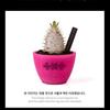 TXT 7th Year: A Moment of Stillness in the Thorns Pot
