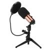 Condenser Microphone Kit with Tripod Stand USB Plug Recording Mic Live Broadcast Equipment