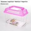 Children's Portable Transparent Pet Transport Box: Small to Large Fish/Turtle Tank