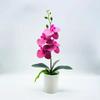 Artificial Potted PlantsArtificial Flower Bonsai Artificial Phalaenopsis Artificial Flower Ornaments