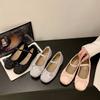 Evening Wind New Single Shoes Women's Mary Jane Shoes Black Ballet Shoes Spring and Autumn Skirt Shallow Mouth 2025 French Soft Leather Cloth