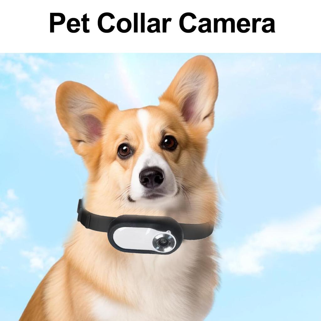 Cameră video portabilă de înaltă definiție pentru zgardă pentru animale de companie, tracker pentru câini, acțiune sport, cameră video pentru pisici