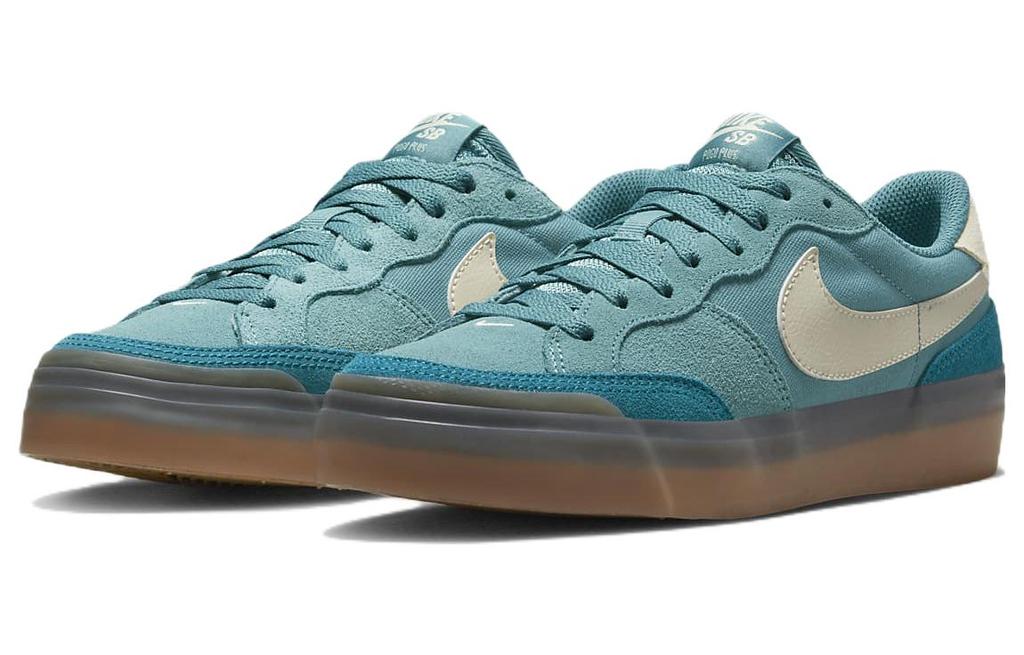 Nike Sb Zoom Pogo Plus Noise Aqua Women's DV5469-401