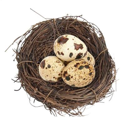 Round Rattan Bird Nest Easter Handmade DIY Craft Vine Simulation Bird Nest Egg Decor Props Home Garden Window Bird House