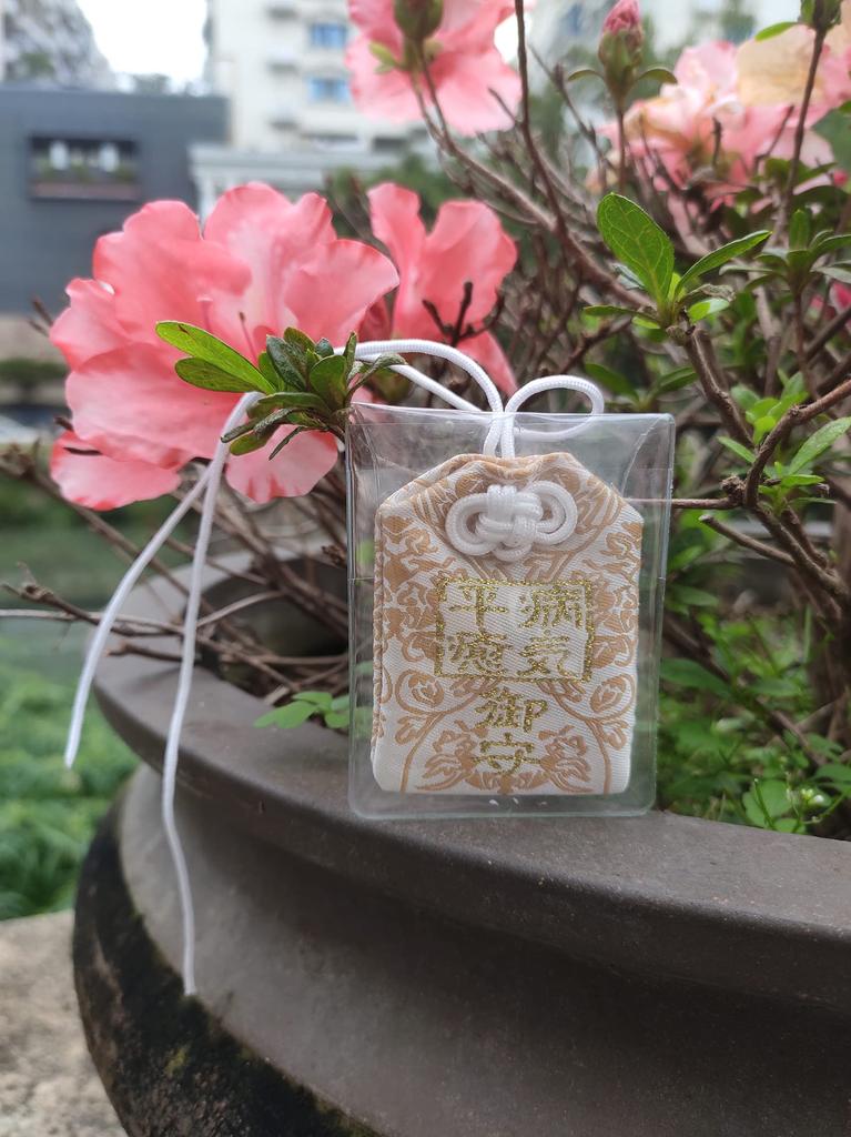 Pocket Buddha Charm for Illness Recovery, Health, and Wellness, Perfect As a Gift for Hospital Patients, or As a Charm for Illness Recovery