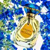 Charm of a Woman - Enveloping Fragrance with a Radiant Floral Bouquet Eau De Toilette Natural Spray for Women