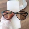 Women Trendy Cat Eye Frame Sun Glasses Fashion Outdoor Sunglasses Eye Protection Sunshade Eyewear Luxury Retro