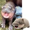 Hugable Moo Deng Plush Toys Kawaii Animal Pillow New Moo Deng Hippo Plush  Home Toy Decoration