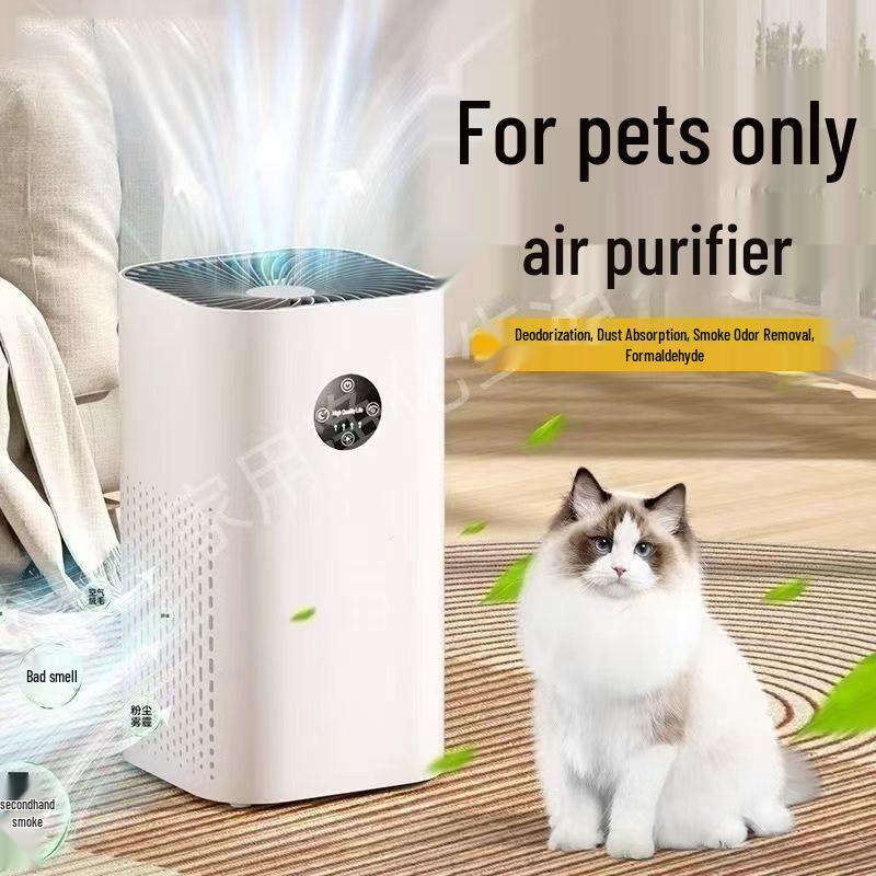 Negative Ion Air Purifier for Rice Products; Removes Formaldehyde, Smoke, Odors, and Indoor Haze—Ideal for Home and Dorm Use.