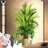 KingSom LED Grow Light, Adjustable Height 40-125cm, Full Spectrum Indoor with Remote Control and Timer