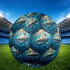 1pc Oceanic Predation Theme Soccer Ball Football, Size 5, Lightweight PVC, Durable Outdoor Training Soccer Ball, Gift M61481