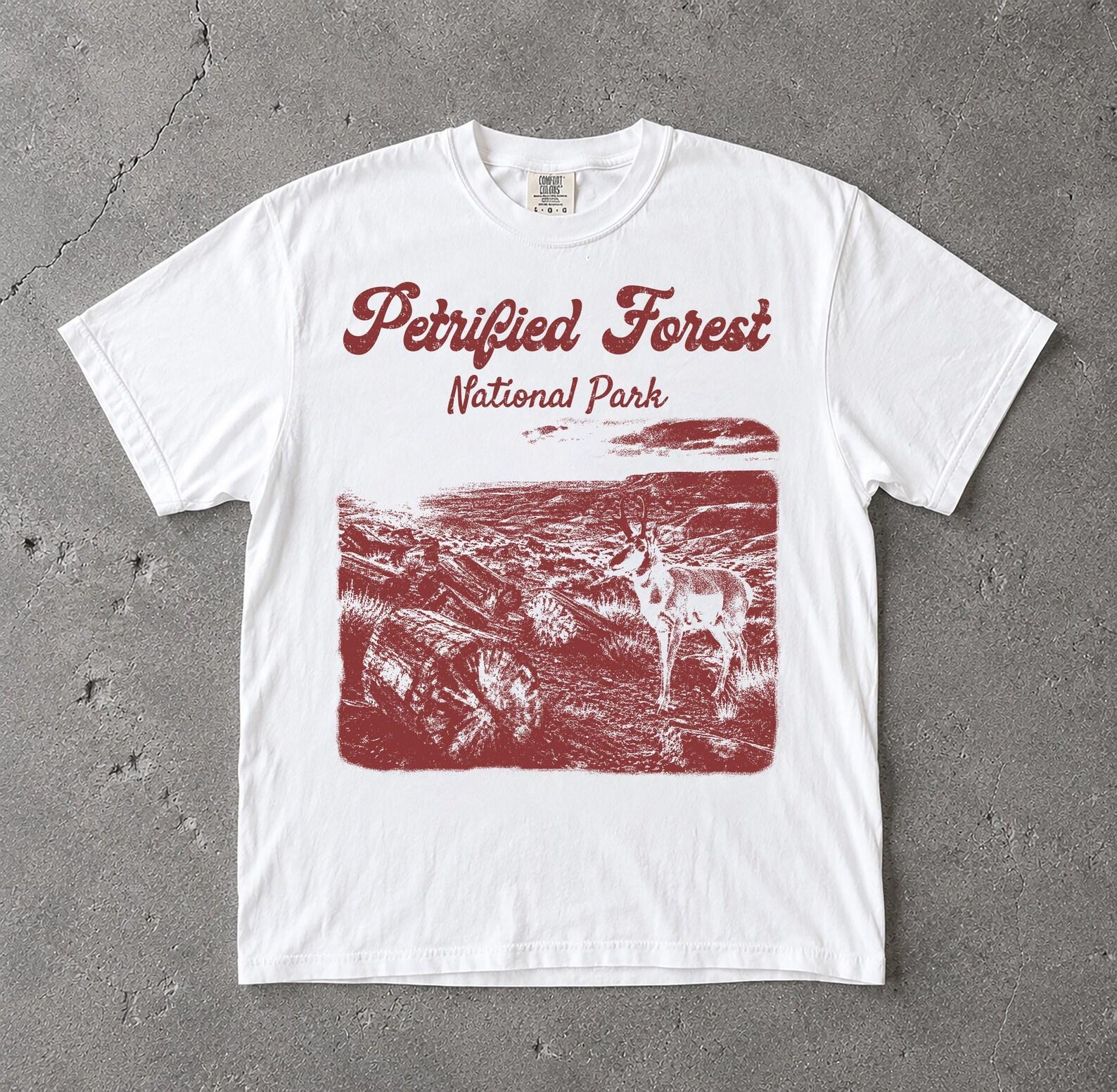 Petrified Forest National Park T-Shirt, Vintage Arizona Desert Tee 3XL