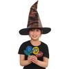 Harry Potter Sorting Hat Costume Accessory