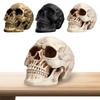Halloween Skeleton Figure Resin Skull Shaped Figurine Life Size for Party Desk Decor