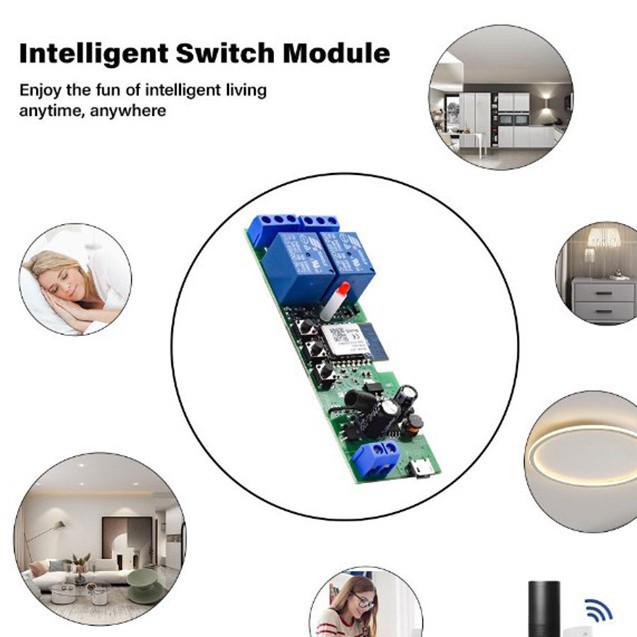 Tuya WiFi Smart Switch Module - Single, Double, Quad Way, Momentary, Self-Locking, Interlock, Voice Control.