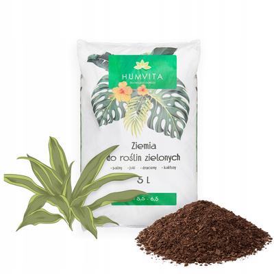 Soil FOR GREEN HOUSE PLANTS 5L for Palm, Yucca, Monstera, Cactus