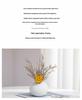 Nordic Ceramic Vase for Dried Flowers - Ideal for Living Room and Dining Table Decor; Perfect As Photo Props and Literary Ornaments.