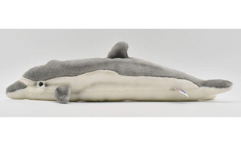 BH5042 HANSA Dolphin 40
