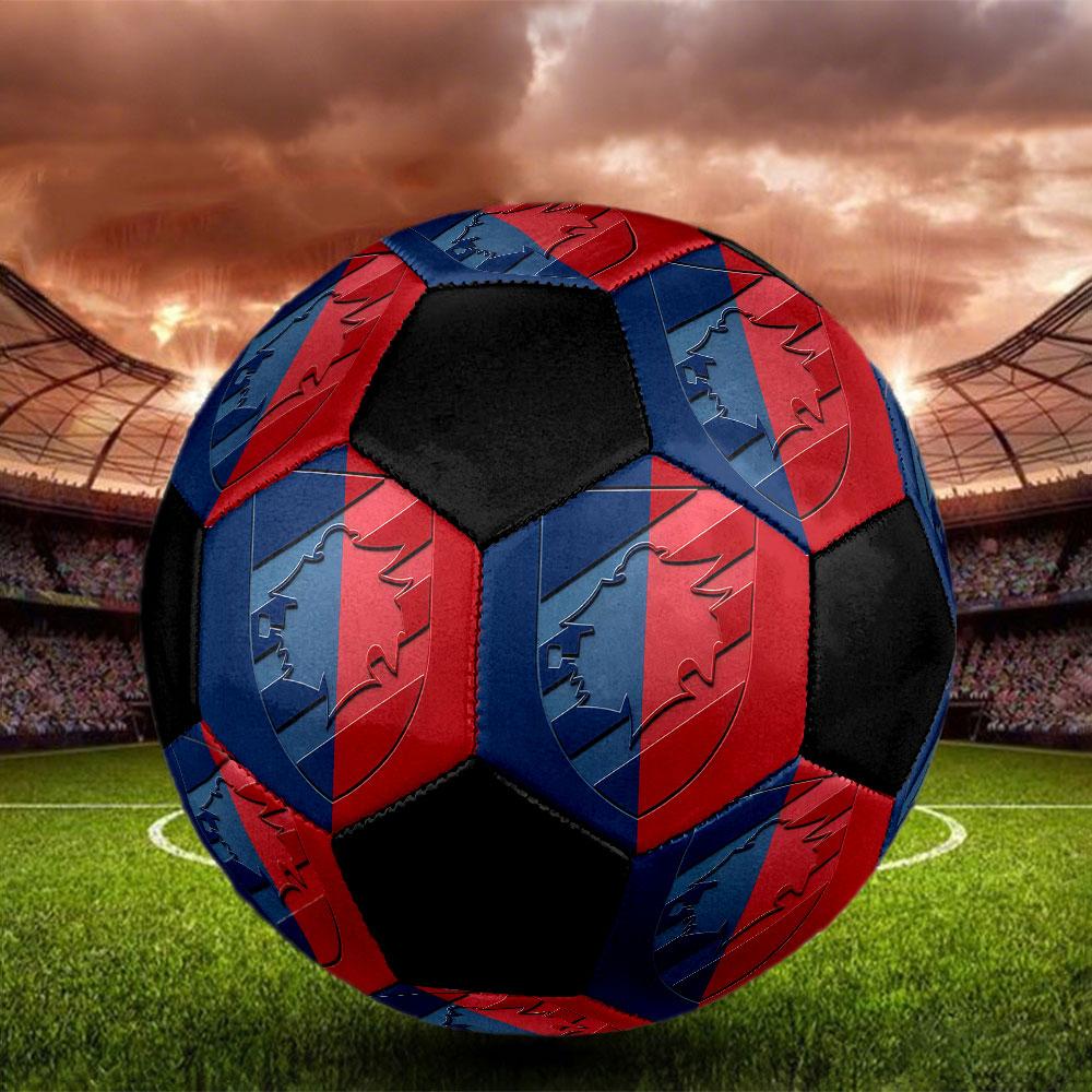 1 PZ U.C. Sampdoria taglia 5 pallone da calcio PrahaPallone da calcio indoor Colorato Per tutte le età Cucito a macchina PVC Pronto per la competizione Resistente Alta rimbalzabilità