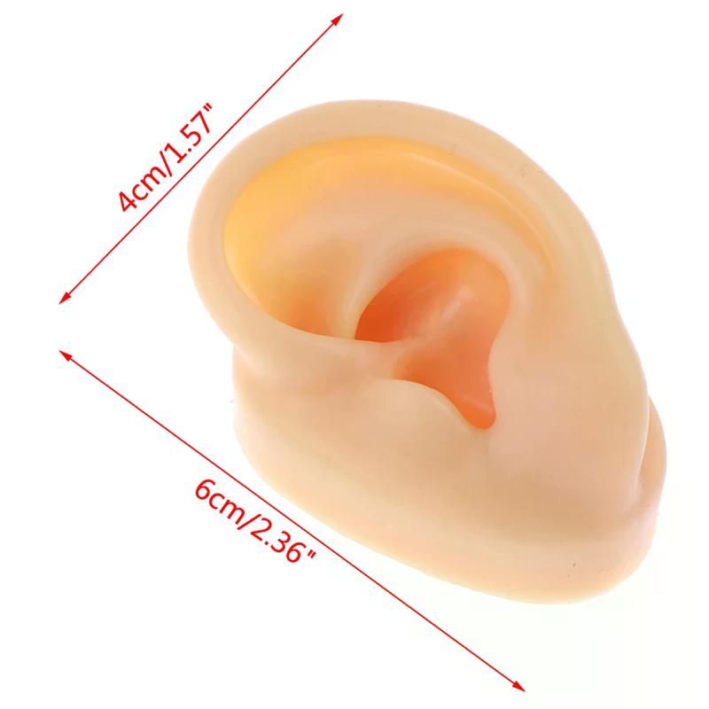 1x Silicone Ear Model Practice Piercing Tools Ear Stud Display Tool Body Jewelry For Daily Use