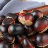 Realistic Artificial Chestnuts,12 Flat & 12 Pointed Durable Plastic Brown Decor for Home Parties,Festive Photography Props