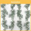 Eucalyptus Foliage Leaf For Wedding Backgrounds Outdoor Photography Decoration