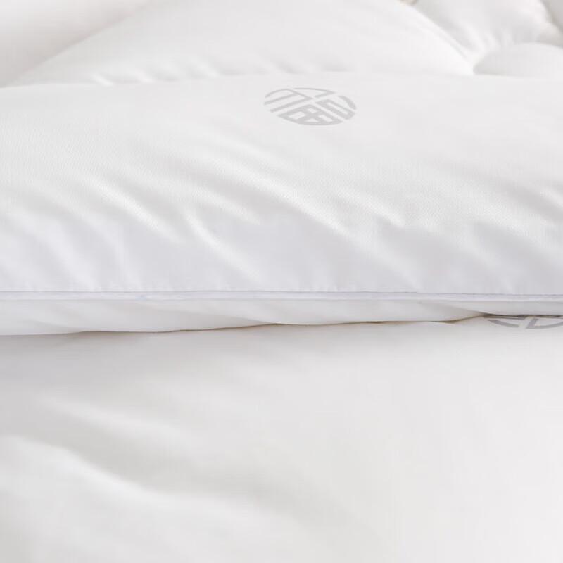 Jie Li Ya Soft Polyester Double Quilt