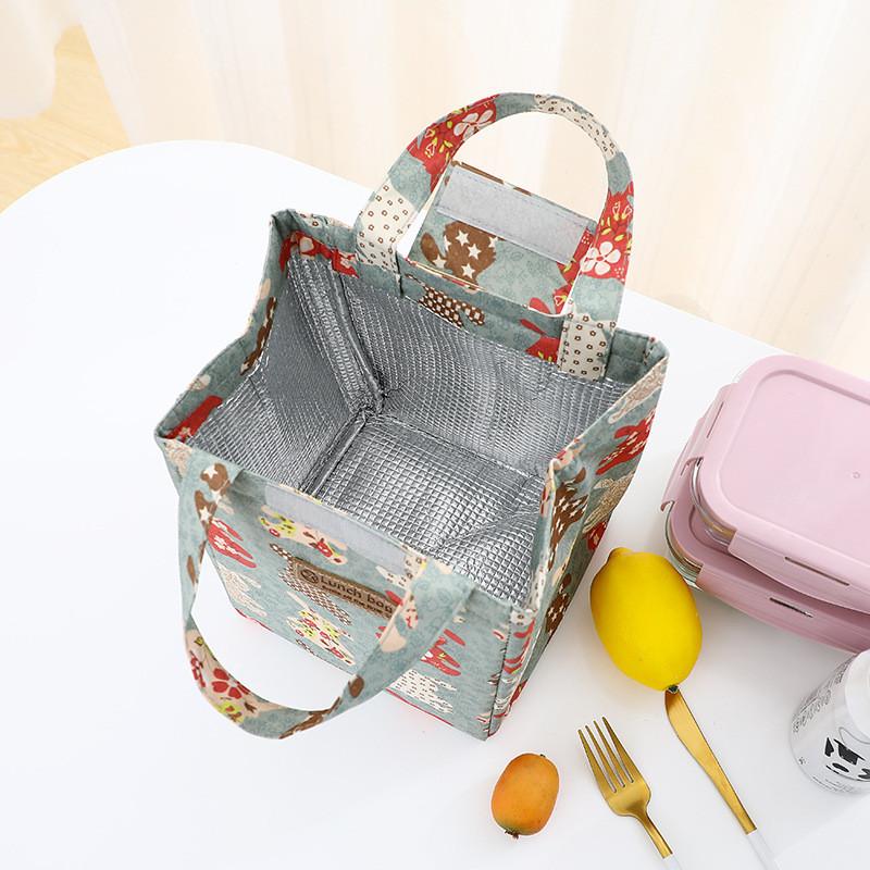 Lovely Lunch Box Reusable Lunch Bags for Women Cute Lunchboxes Kawaii Animal Lunch Bag Cooler for Picnic Office Work Travel
